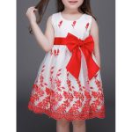 Embroidered Mini Ball Gown Dress